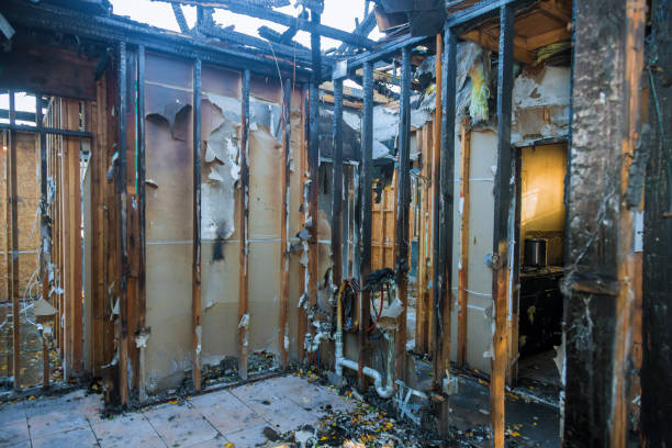 Professional Fire Damage Removal technician working in Willow Grove, PA