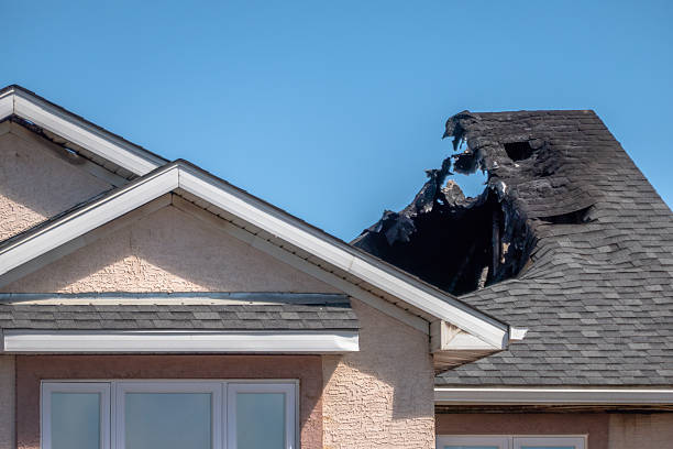 Top rated local Fire Damage Removal specialists in Willow Grove, PA